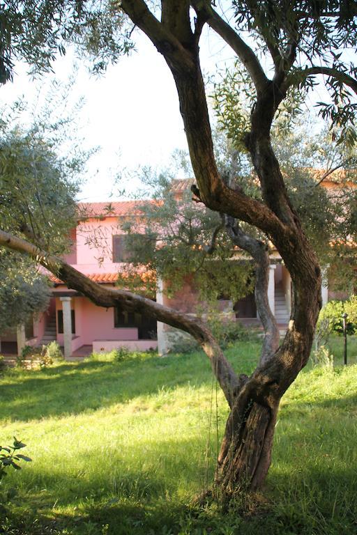 Residence Approdo Verde San Teodoro  Kamer foto